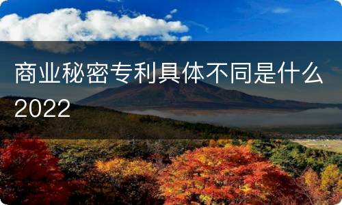 商业秘密专利具体不同是什么2022