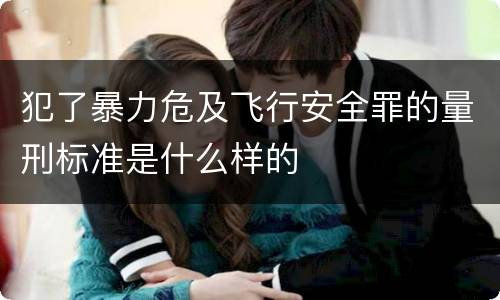犯了暴力危及飞行安全罪的量刑标准是什么样的