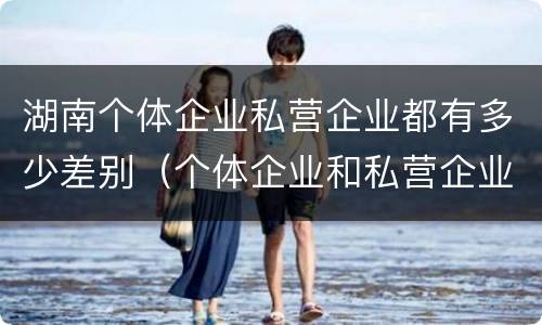 湖南个体企业私营企业都有多少差别（个体企业和私营企业）