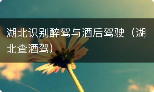 湖北识别醉驾与酒后驾驶（湖北查酒驾）