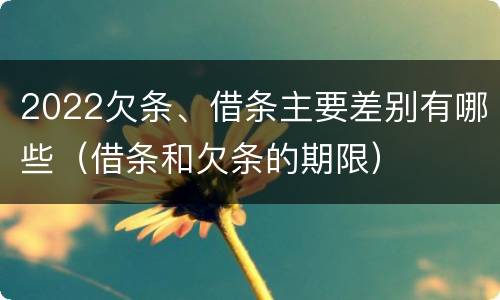 2022欠条、借条主要差别有哪些（借条和欠条的期限）