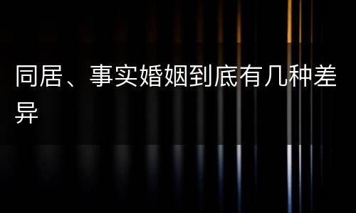 同居、事实婚姻到底有几种差异