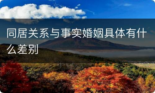 同居关系与事实婚姻具体有什么差别