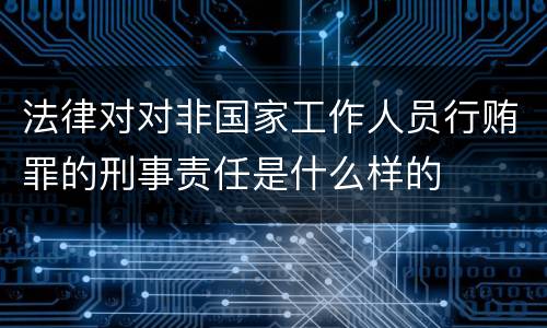 法律对对非国家工作人员行贿罪的刑事责任是什么样的