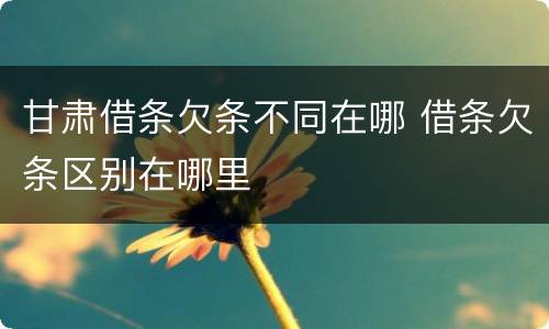 甘肃借条欠条不同在哪 借条欠条区别在哪里