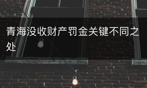 青海没收财产罚金关键不同之处