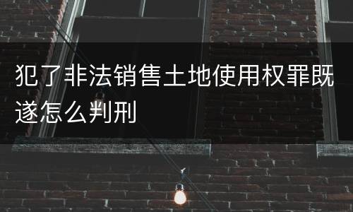 犯了非法销售土地使用权罪既遂怎么判刑