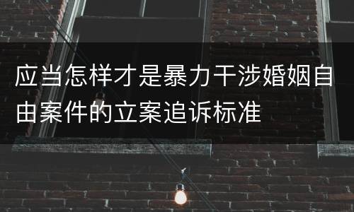 应当怎样才是暴力干涉婚姻自由案件的立案追诉标准