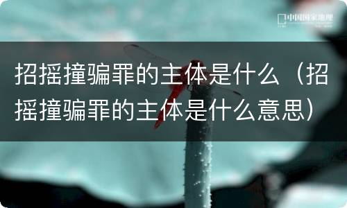 招摇撞骗罪的主体是什么（招摇撞骗罪的主体是什么意思）