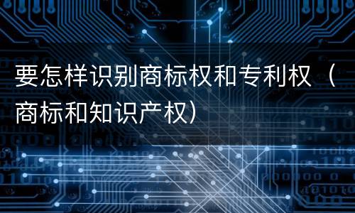 要怎样识别商标权和专利权（商标和知识产权）