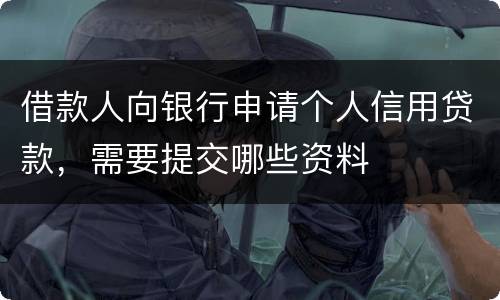 借款人向银行申请个人信用贷款，需要提交哪些资料