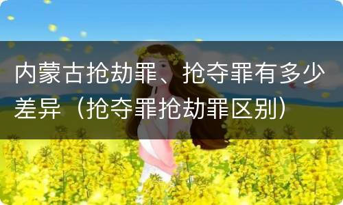 内蒙古抢劫罪、抢夺罪有多少差异（抢夺罪抢劫罪区别）