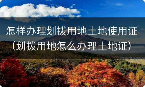 怎样办理划拨用地土地使用证（划拨用地怎么办理土地证）