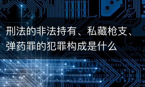 刑法的非法持有、私藏枪支、弹药罪的犯罪构成是什么