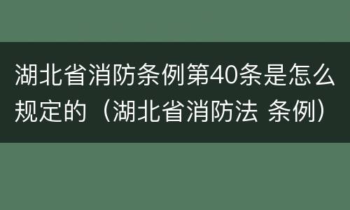 湖北省消防条例第40条是怎么规定的（湖北省消防法 条例）