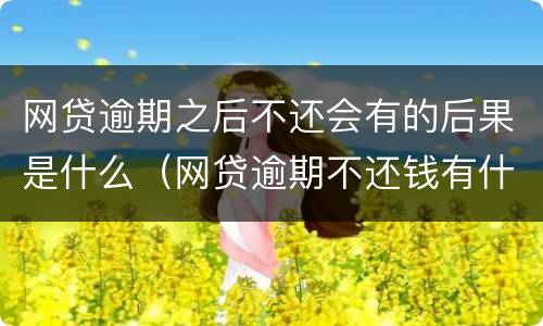 网贷逾期之后不还会有的后果是什么（网贷逾期不还钱有什么后果）