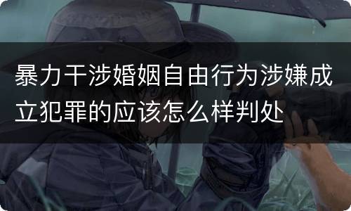 暴力干涉婚姻自由行为涉嫌成立犯罪的应该怎么样判处