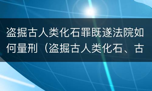 盗掘古人类化石罪既遂法院如何量刑（盗掘古人类化石、古脊椎动物化石罪）