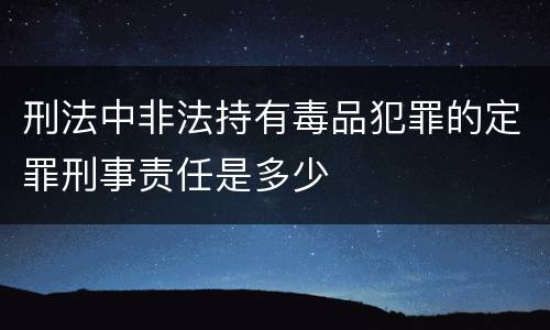 刑法中非法持有毒品犯罪的定罪刑事责任是多少