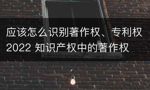 应该怎么识别著作权、专利权2022 知识产权中的著作权