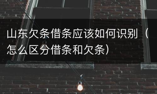 山东欠条借条应该如何识别（怎么区分借条和欠条）
