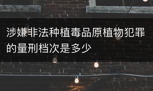 涉嫌非法种植毒品原植物犯罪的量刑档次是多少
