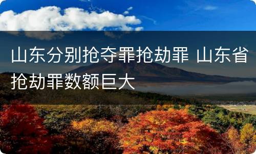 山东分别抢夺罪抢劫罪 山东省抢劫罪数额巨大