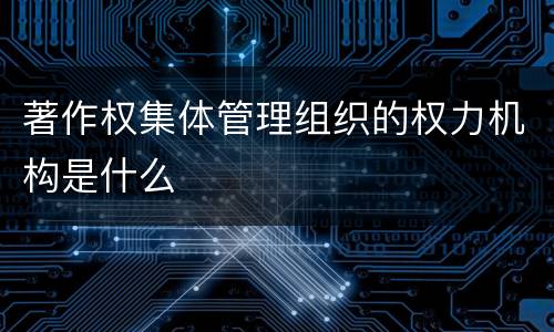 著作权集体管理组织的权力机构是什么