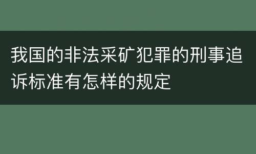 我国的非法采矿犯罪的刑事追诉标准有怎样的规定