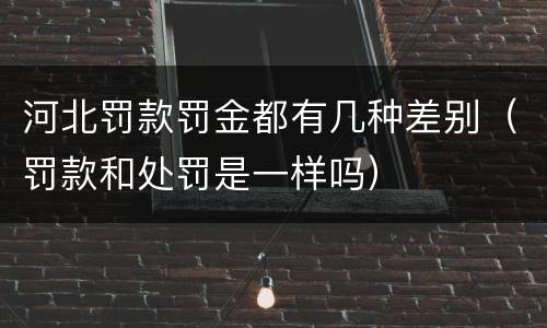 河北罚款罚金都有几种差别（罚款和处罚是一样吗）