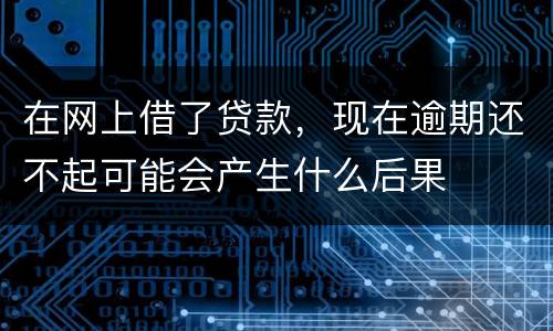 在网上借了贷款，现在逾期还不起可能会产生什么后果