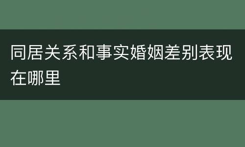 同居关系和事实婚姻差别表现在哪里