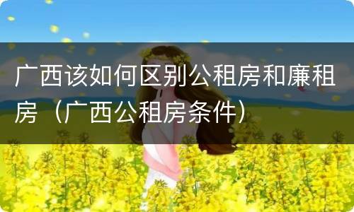 广西该如何区别公租房和廉租房（广西公租房条件）