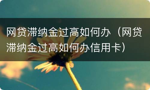 网贷滞纳金过高如何办（网贷滞纳金过高如何办信用卡）