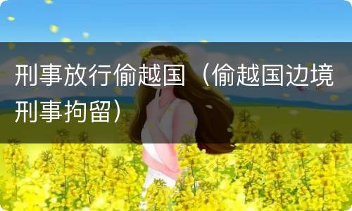 刑事放行偷越国（偷越国边境刑事拘留）