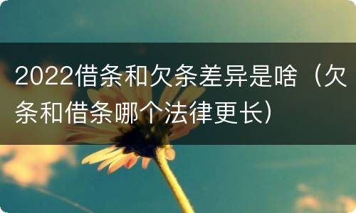 2022借条和欠条差异是啥（欠条和借条哪个法律更长）