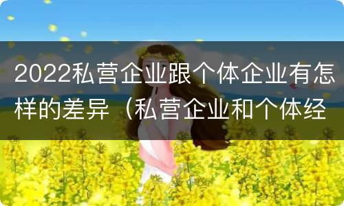 2022私营企业跟个体企业有怎样的差异（私营企业和个体经济的区别）