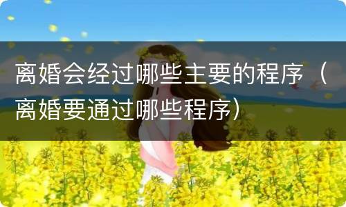 离婚会经过哪些主要的程序（离婚要通过哪些程序）
