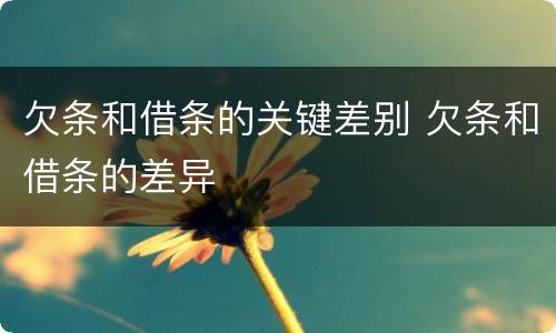欠条和借条的关键差别 欠条和借条的差异