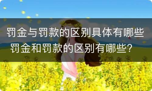 罚金与罚款的区别具体有哪些 罚金和罚款的区别有哪些?