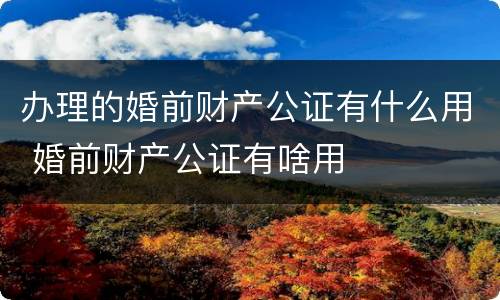 办理的婚前财产公证有什么用 婚前财产公证有啥用