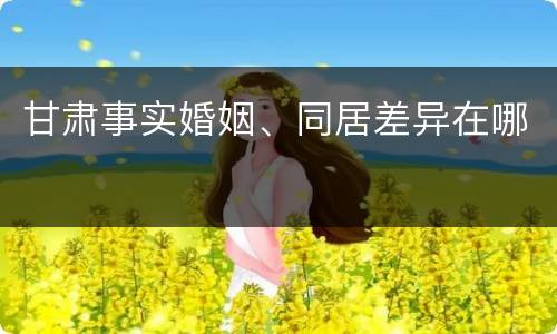 甘肃事实婚姻、同居差异在哪