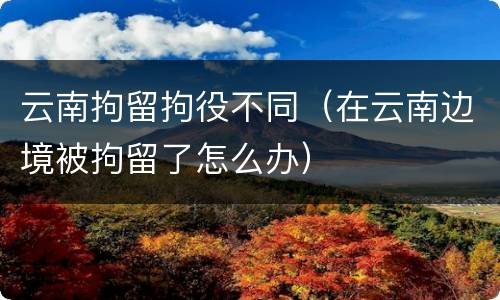 云南拘留拘役不同（在云南边境被拘留了怎么办）