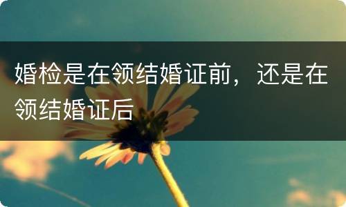 婚检是在领结婚证前，还是在领结婚证后