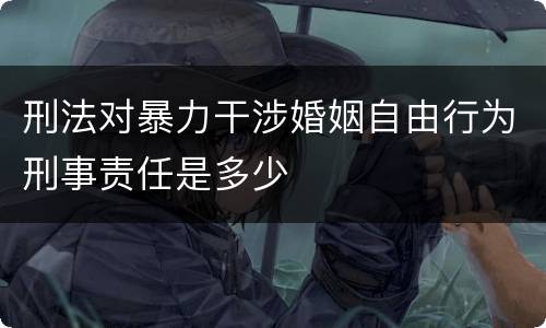 刑法对暴力干涉婚姻自由行为刑事责任是多少