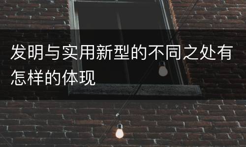 发明与实用新型的不同之处有怎样的体现