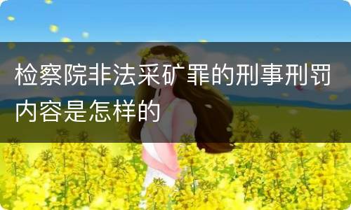 检察院非法采矿罪的刑事刑罚内容是怎样的
