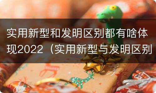 实用新型和发明区别都有啥体现2022（实用新型与发明区别）