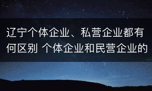 辽宁个体企业、私营企业都有何区别 个体企业和民营企业的区别