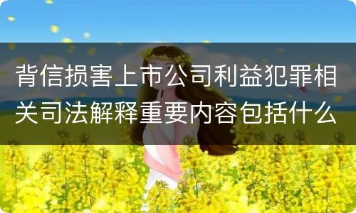 背信损害上市公司利益犯罪相关司法解释重要内容包括什么